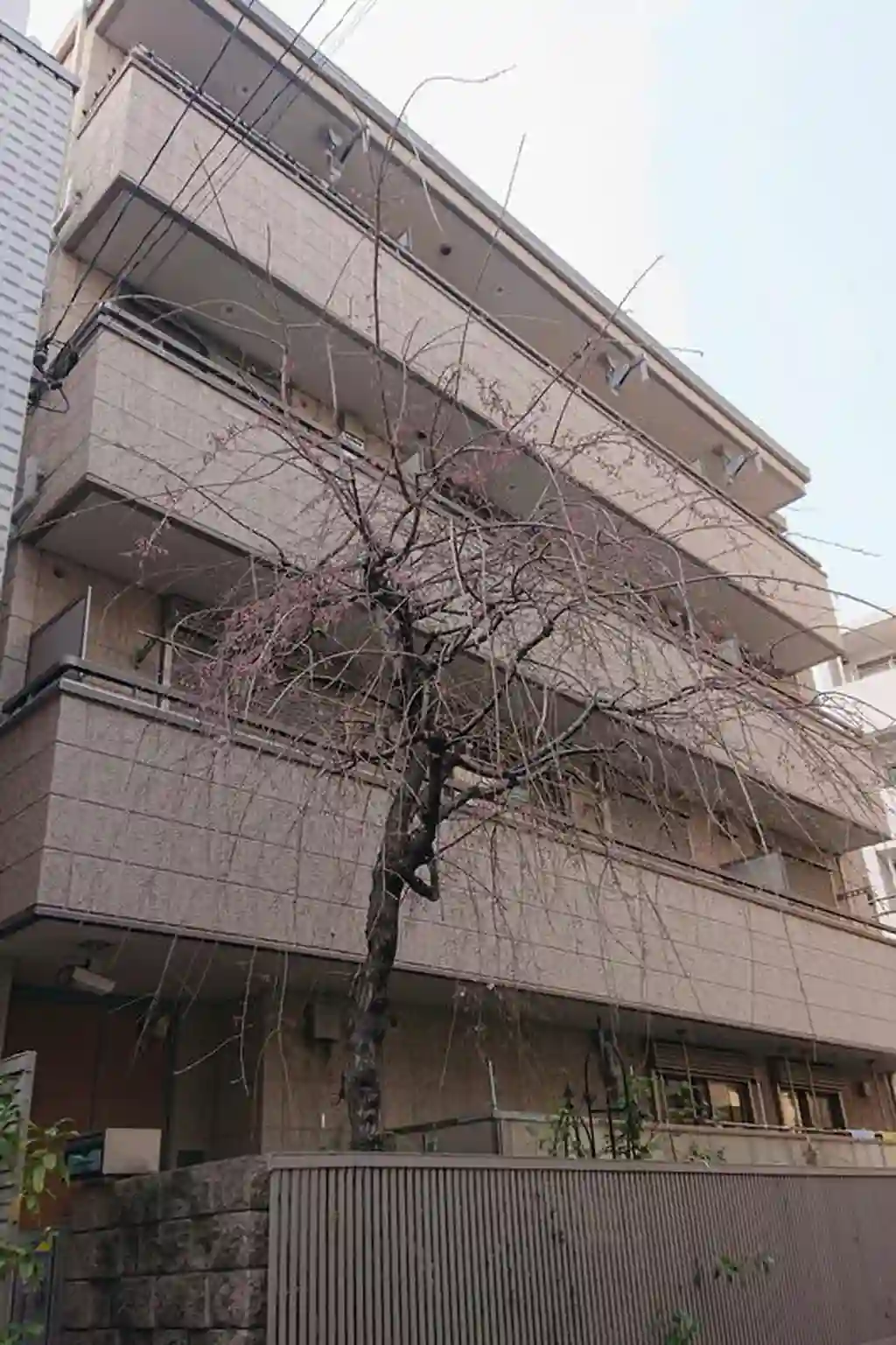 ラメゾンスーヴェラン 外観