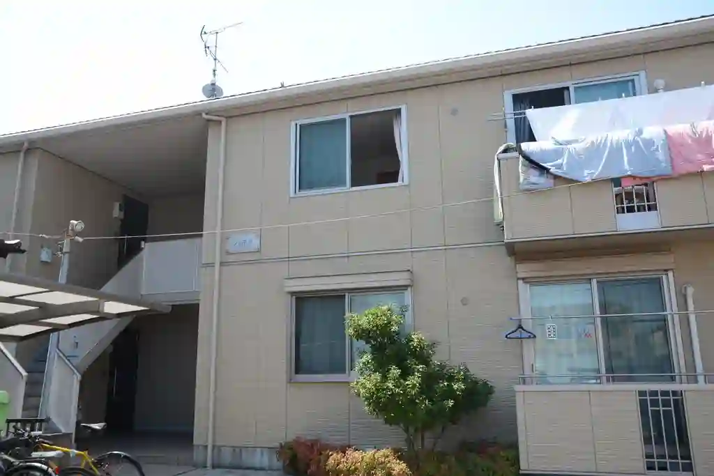 シャモア 外観