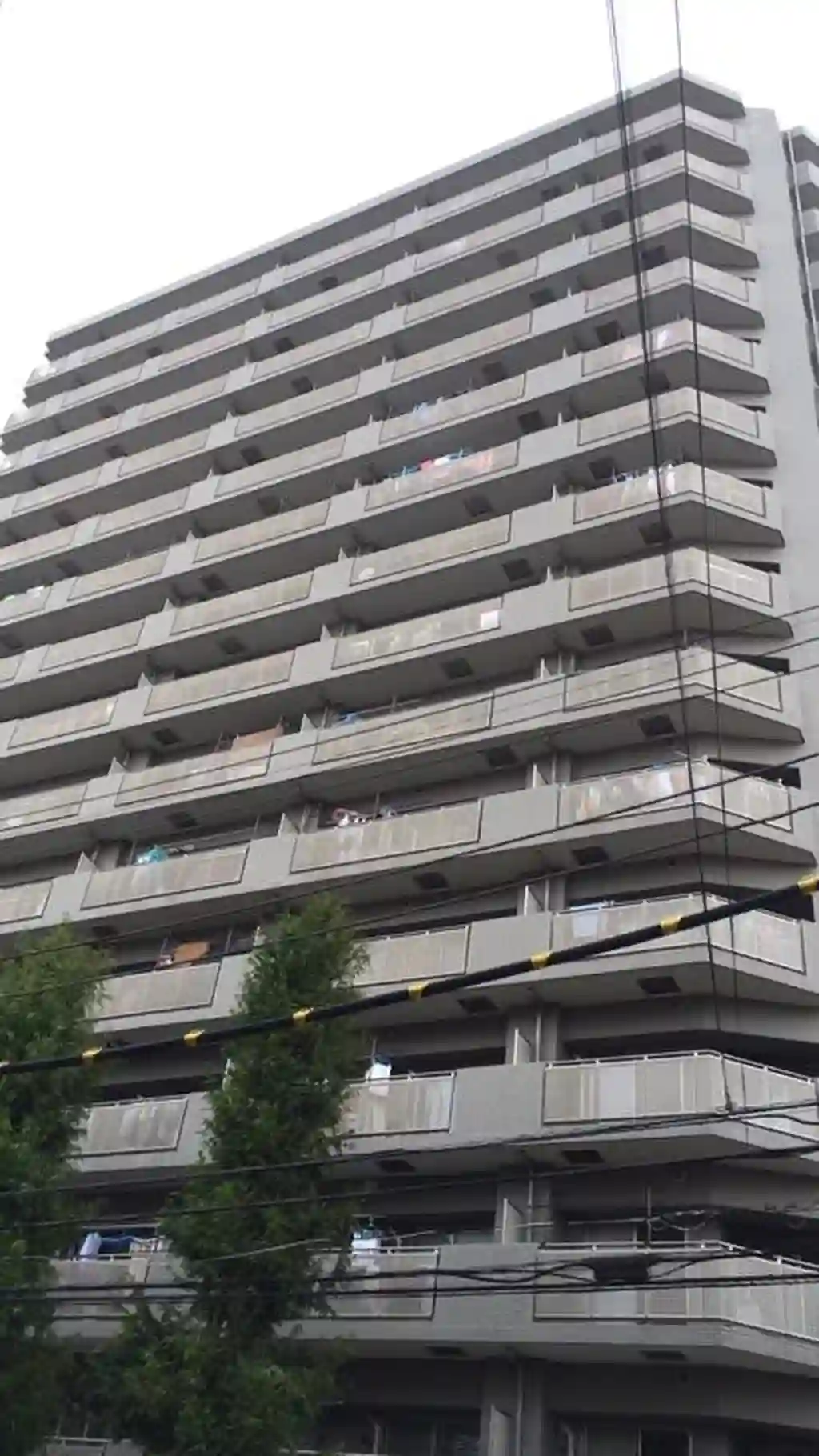 レックスハイツ綾瀬 外観