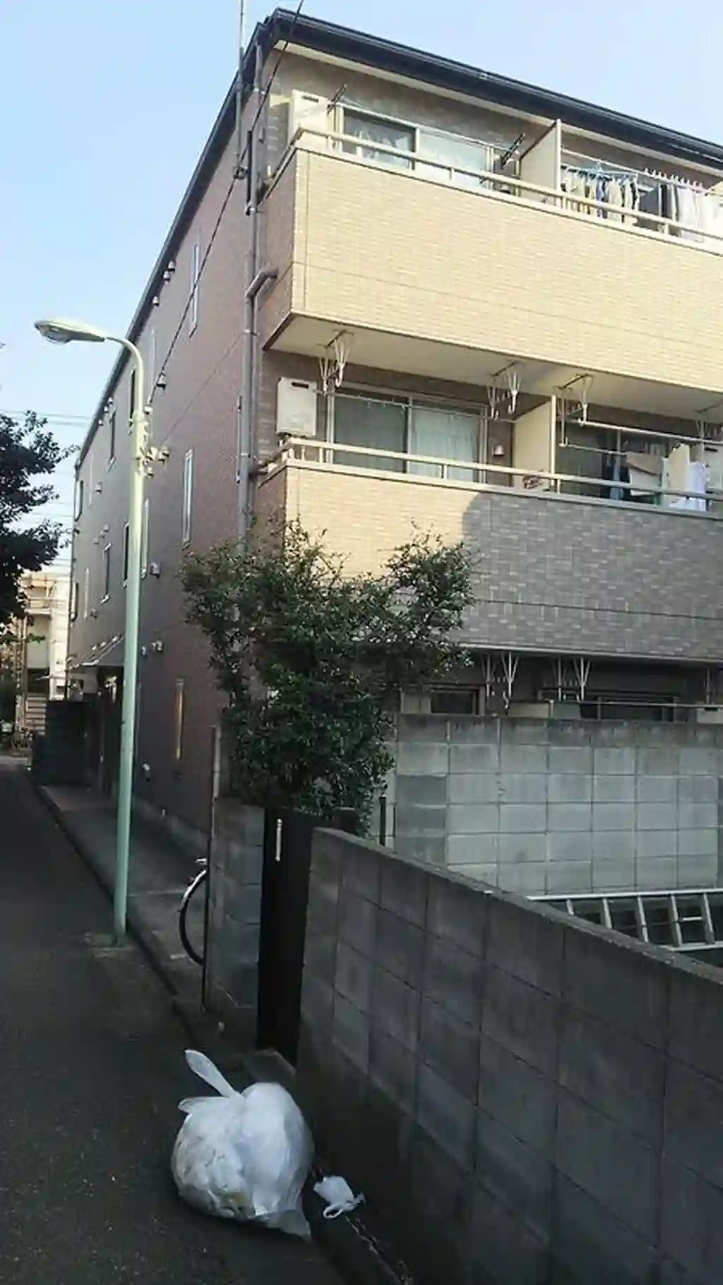 RIO 外観