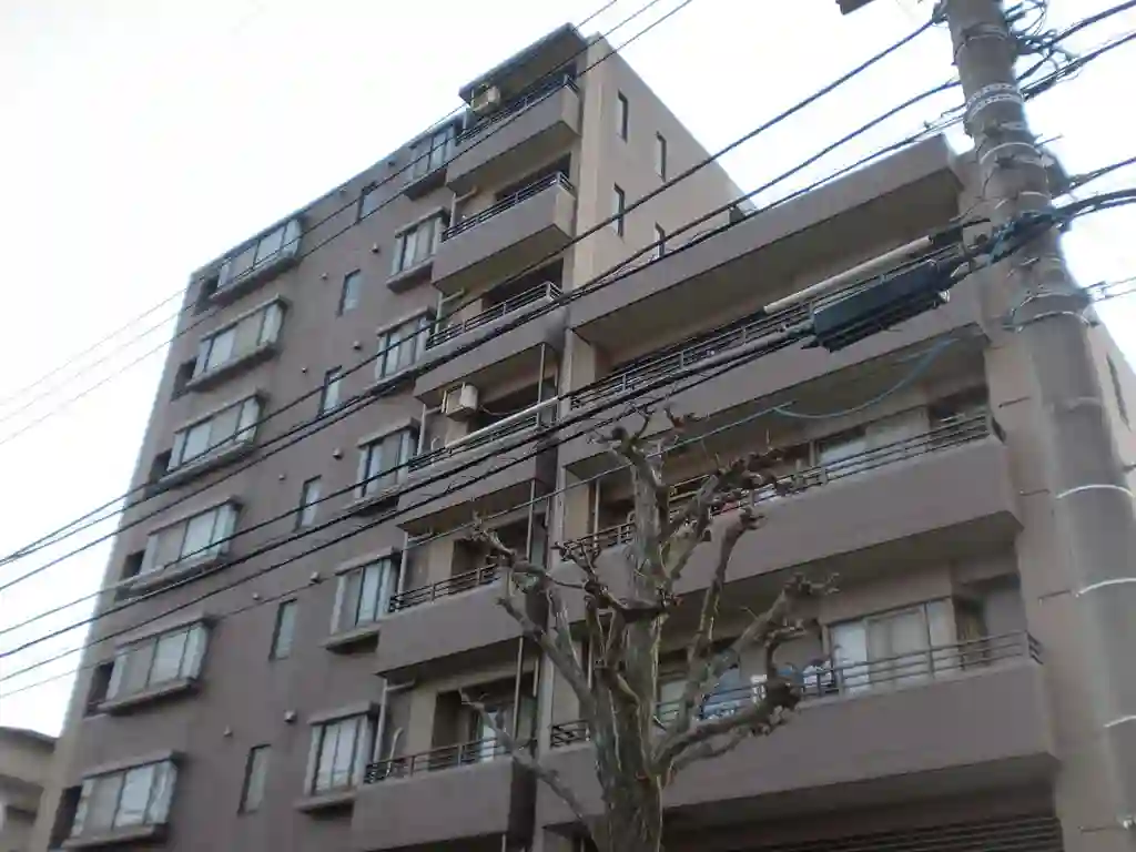 レクセルマンションお花茶屋 外観