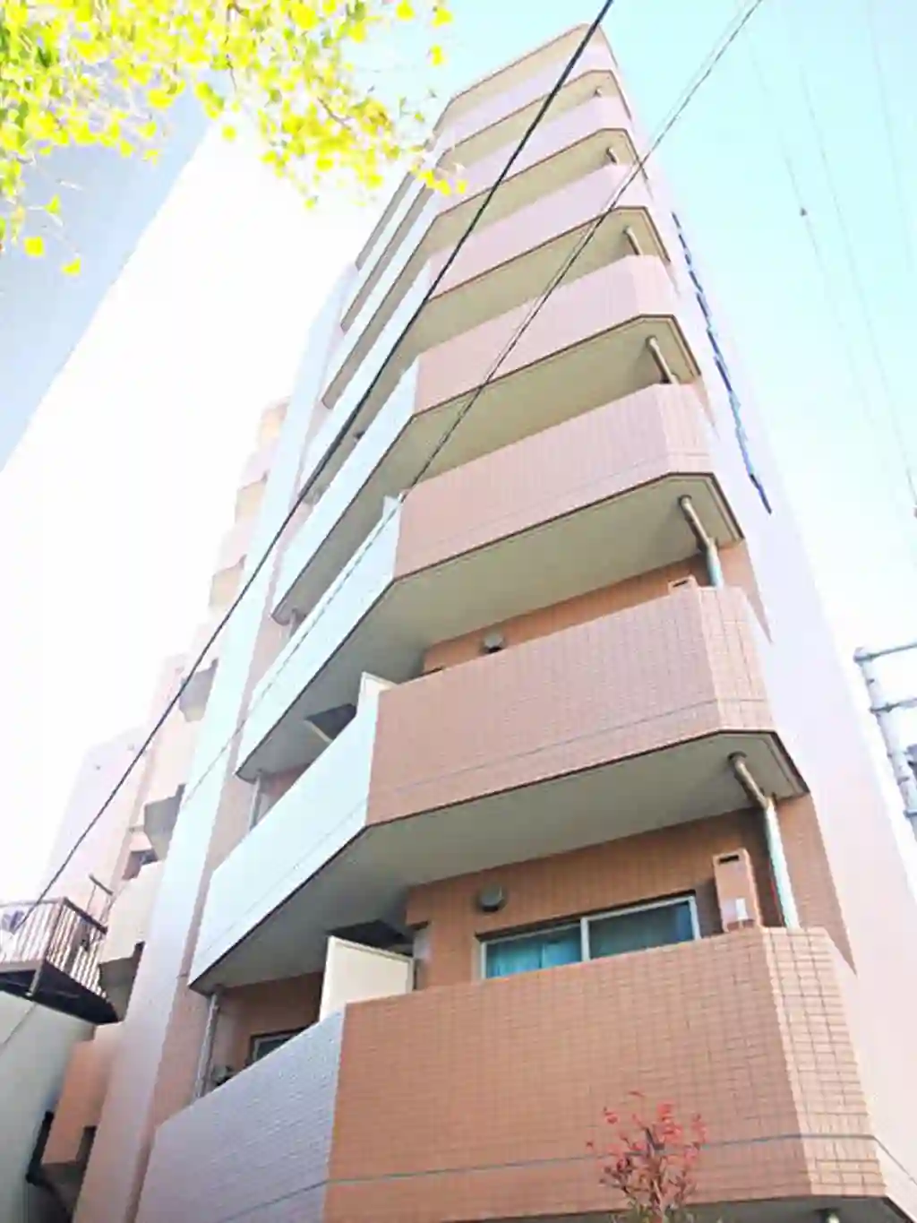 スカイコート文京小石川第5 外観