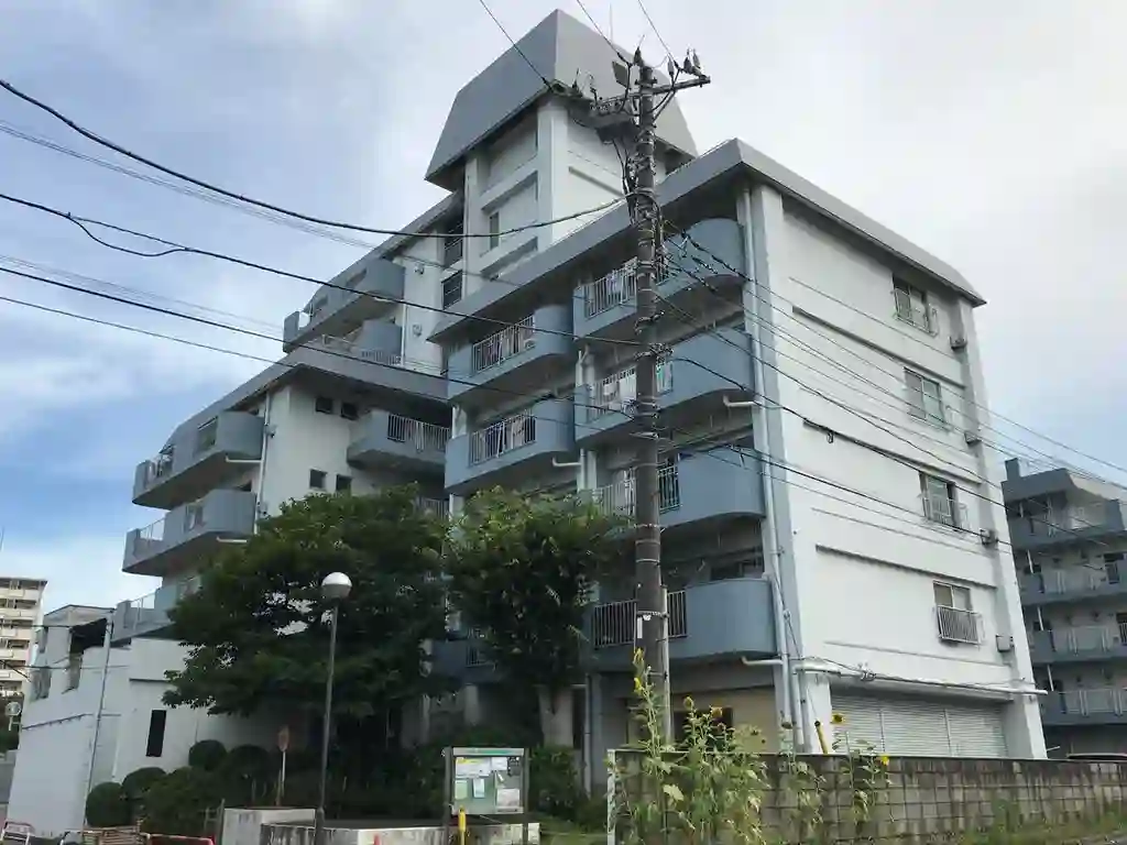 新成増ハイツ 外観