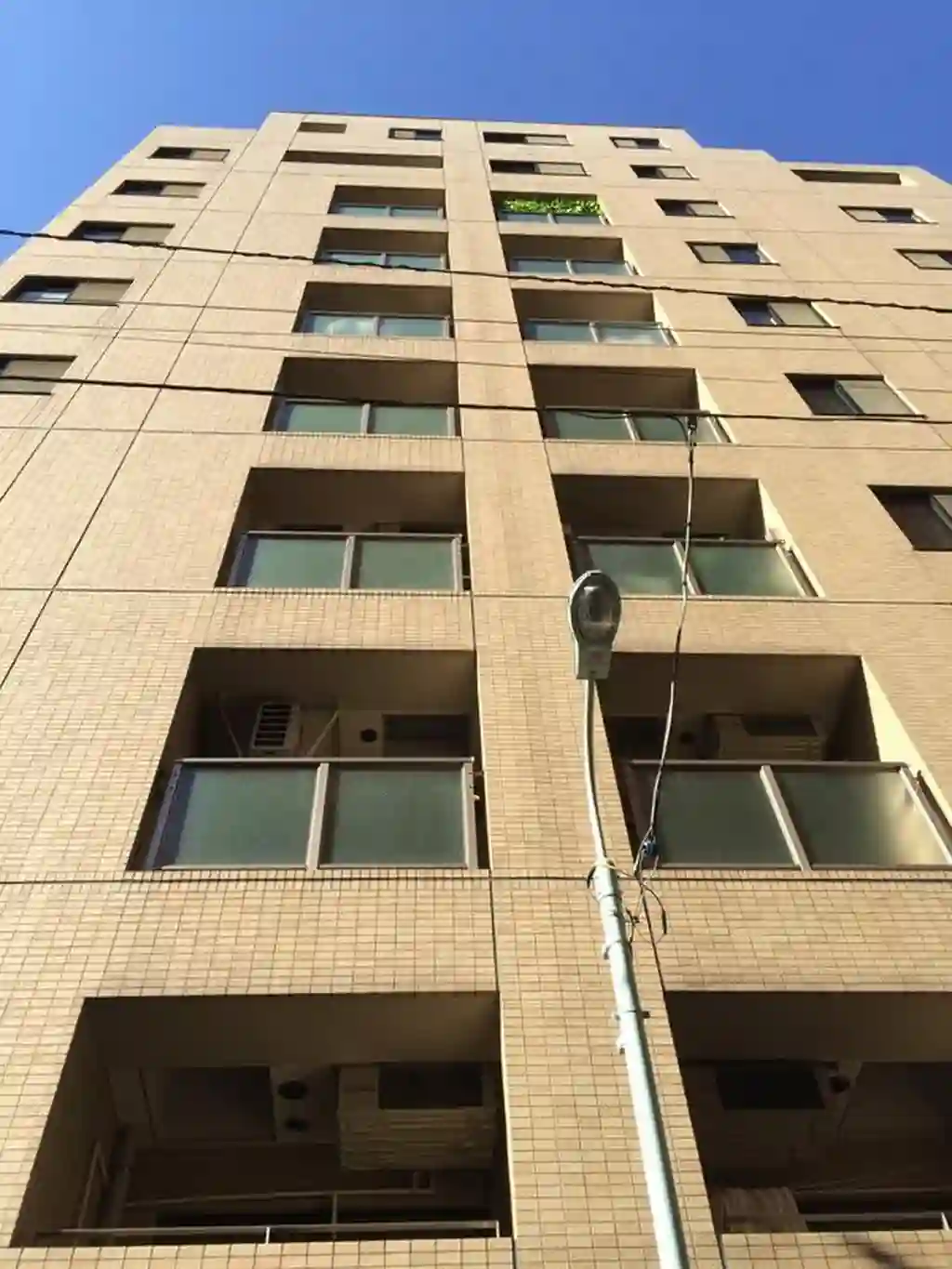 フュージョンハイツ浜町 外観