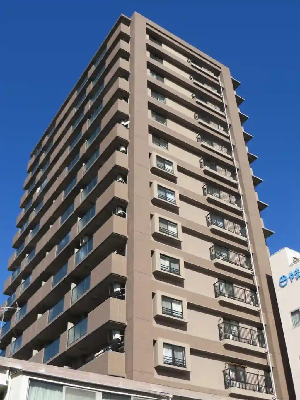 ナイスシティアリーナ新小岩 外観