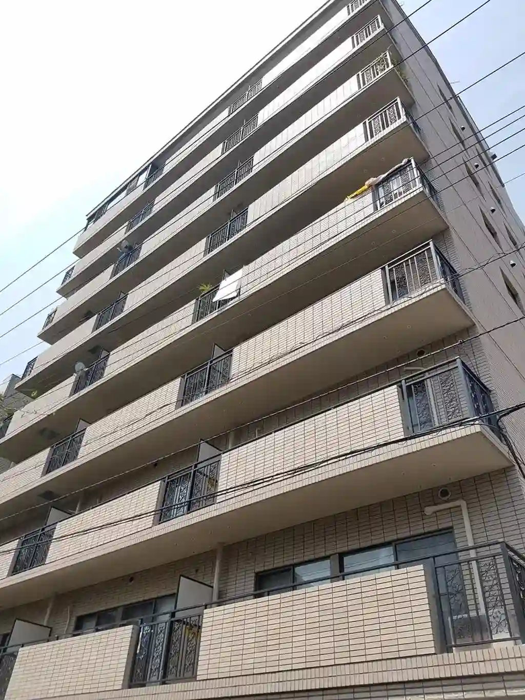 バイムフルス白金 I 外観