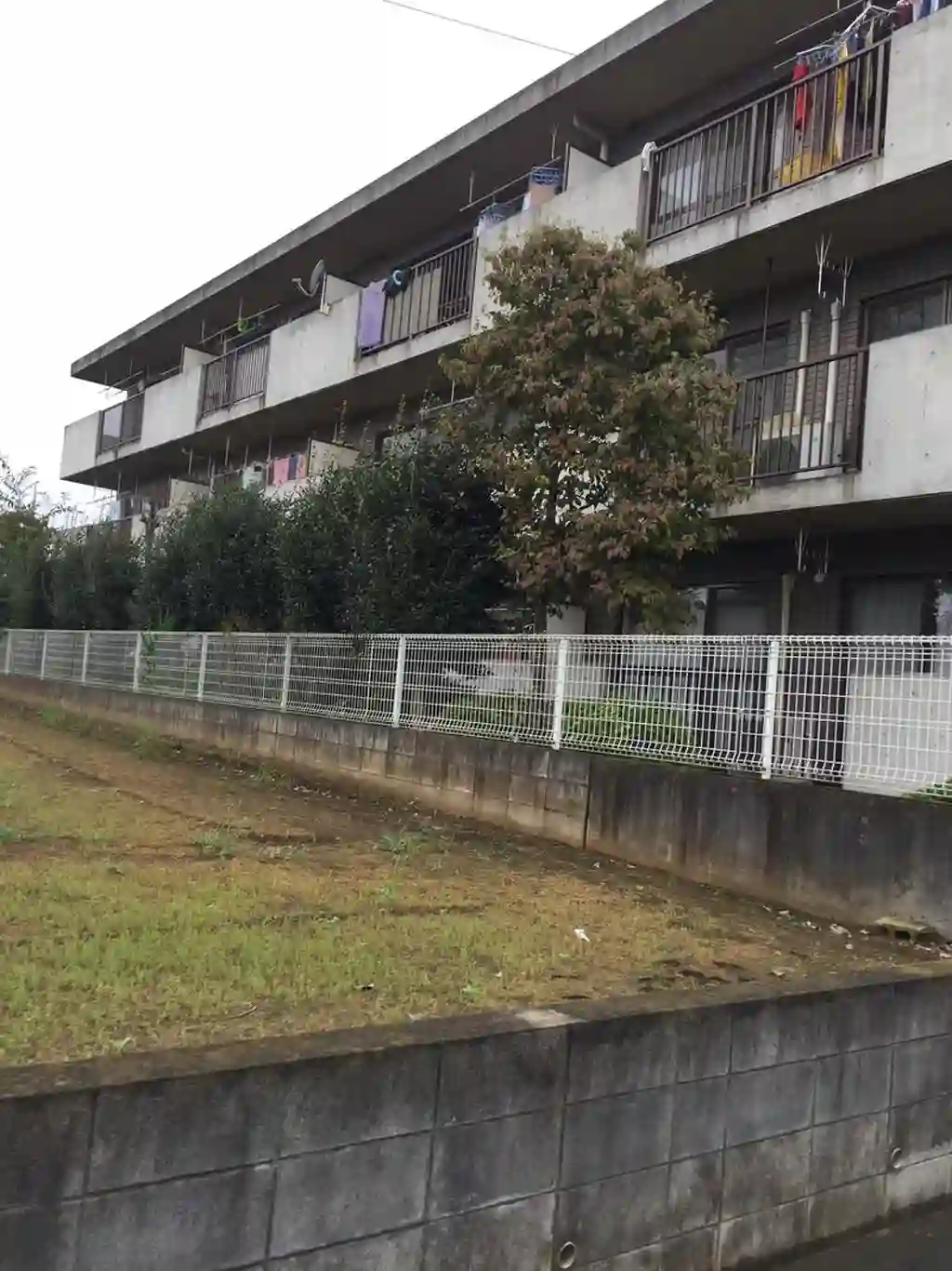 プレステージ大和田 外観