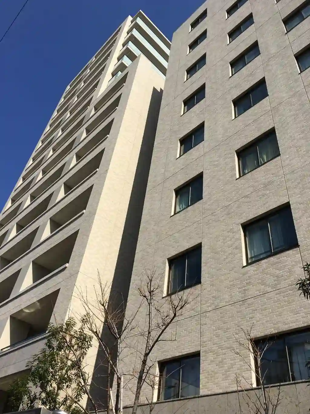 Brillia大山町 外観