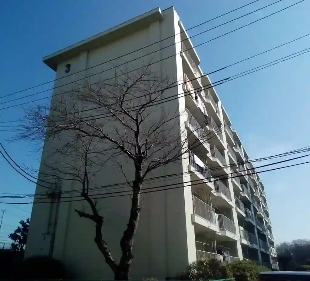 峰沢団地3号棟 外観
