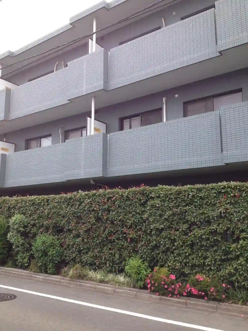 メゾンアベニール 外観