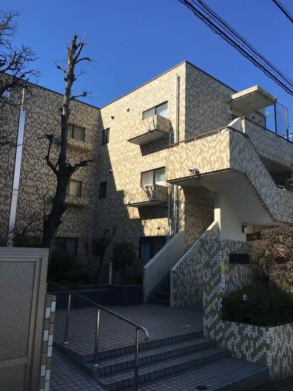 メゾントク 外観