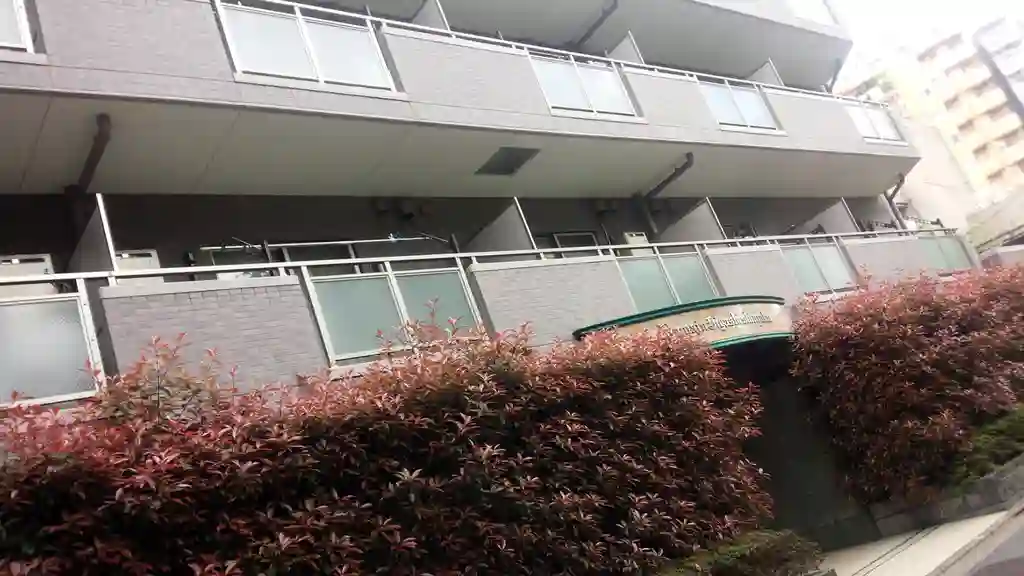 ドメイン東新宿 外観