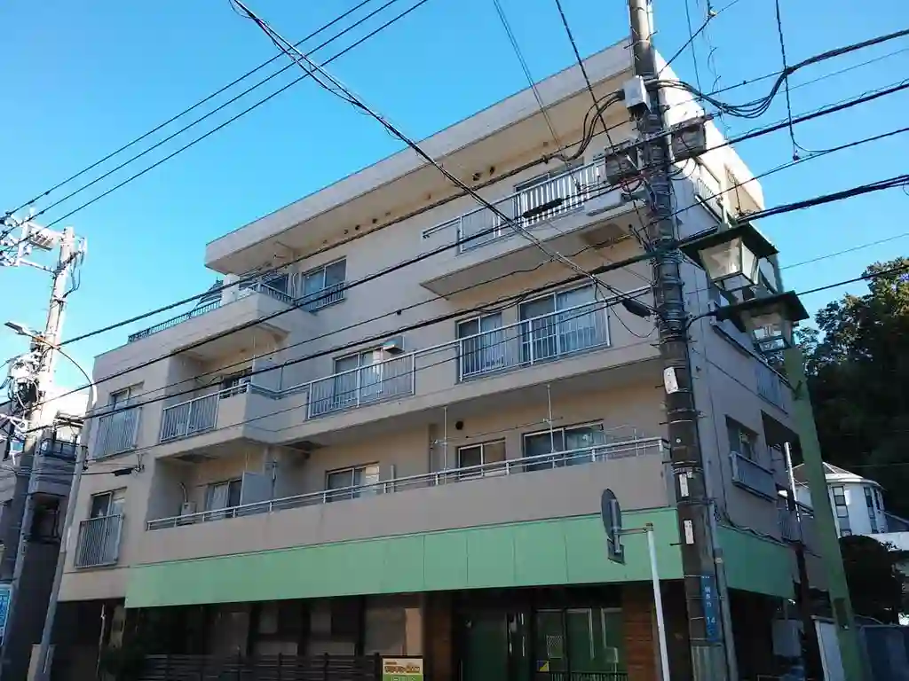 大明グレイス綱島 外観