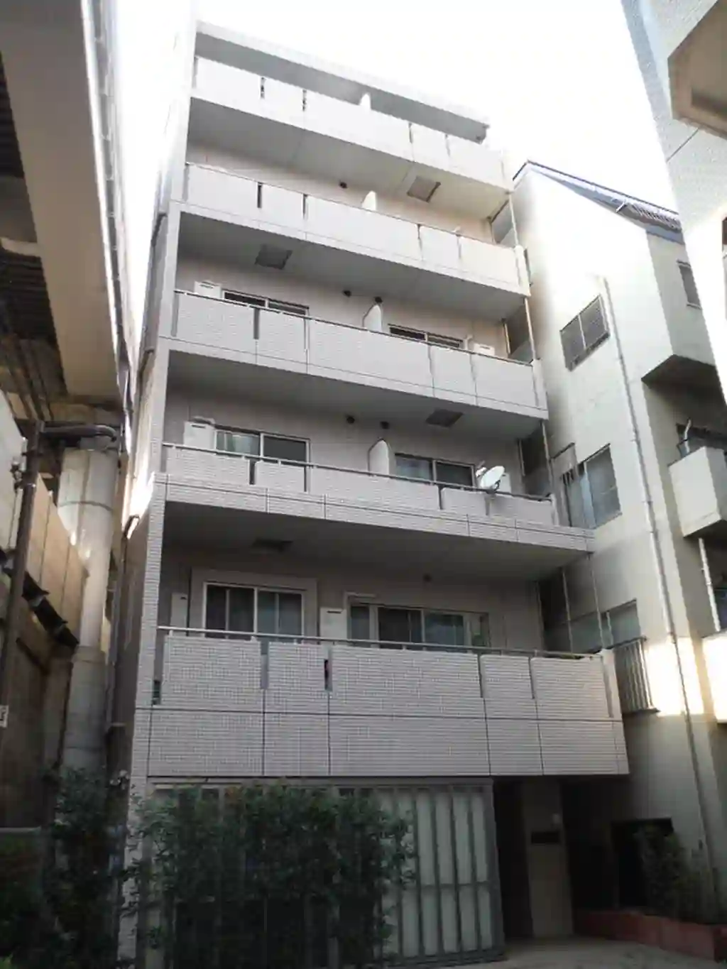 エミリー 外観