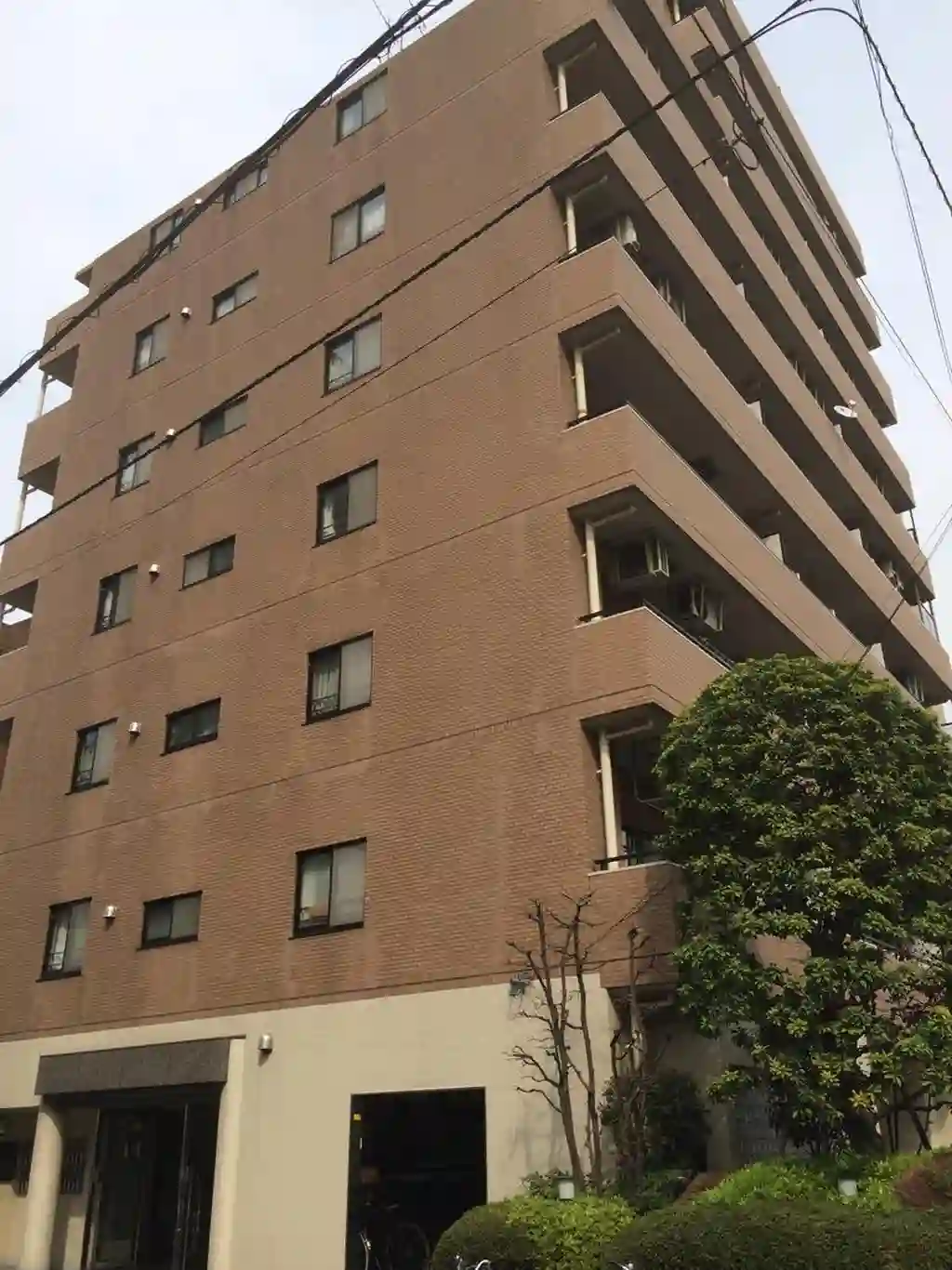 藤和シティコープ木場公園 外観