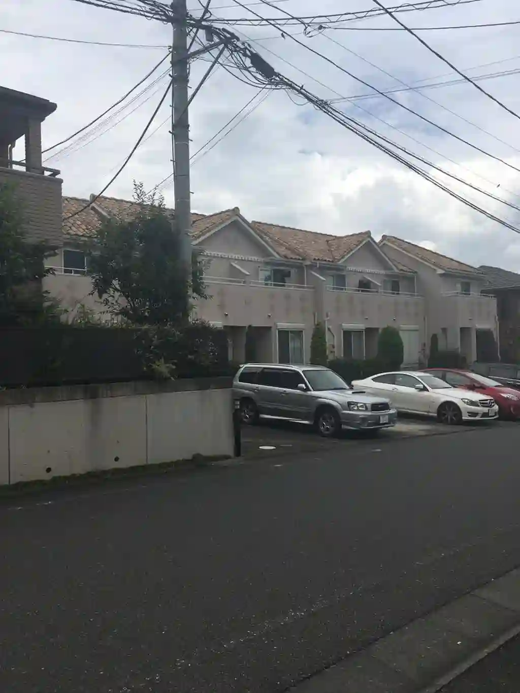 クランベリー 外観