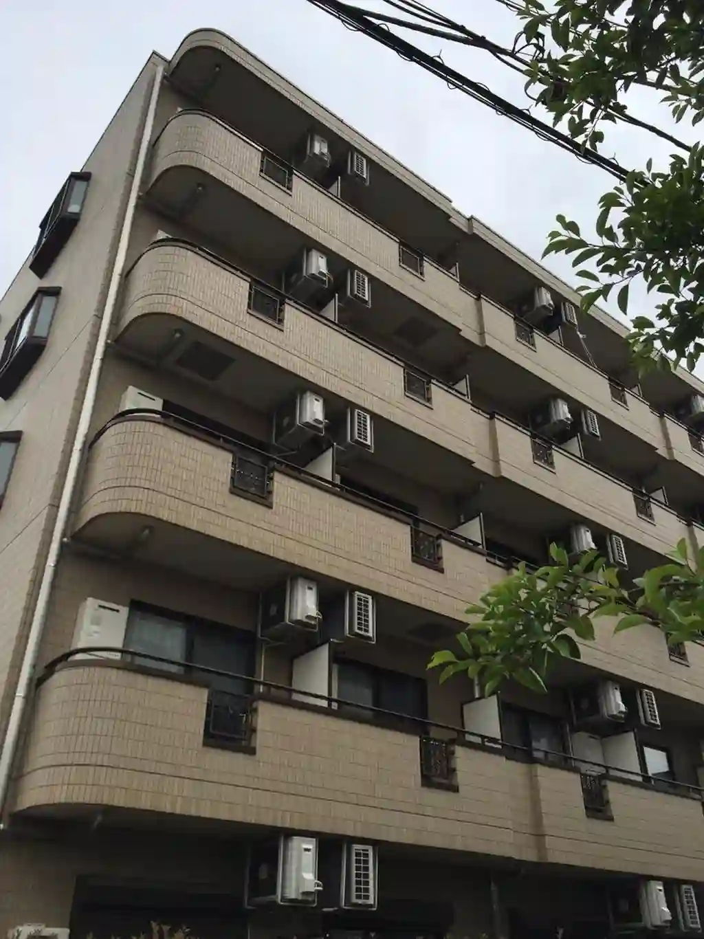 ラソ フエルサ 外観
