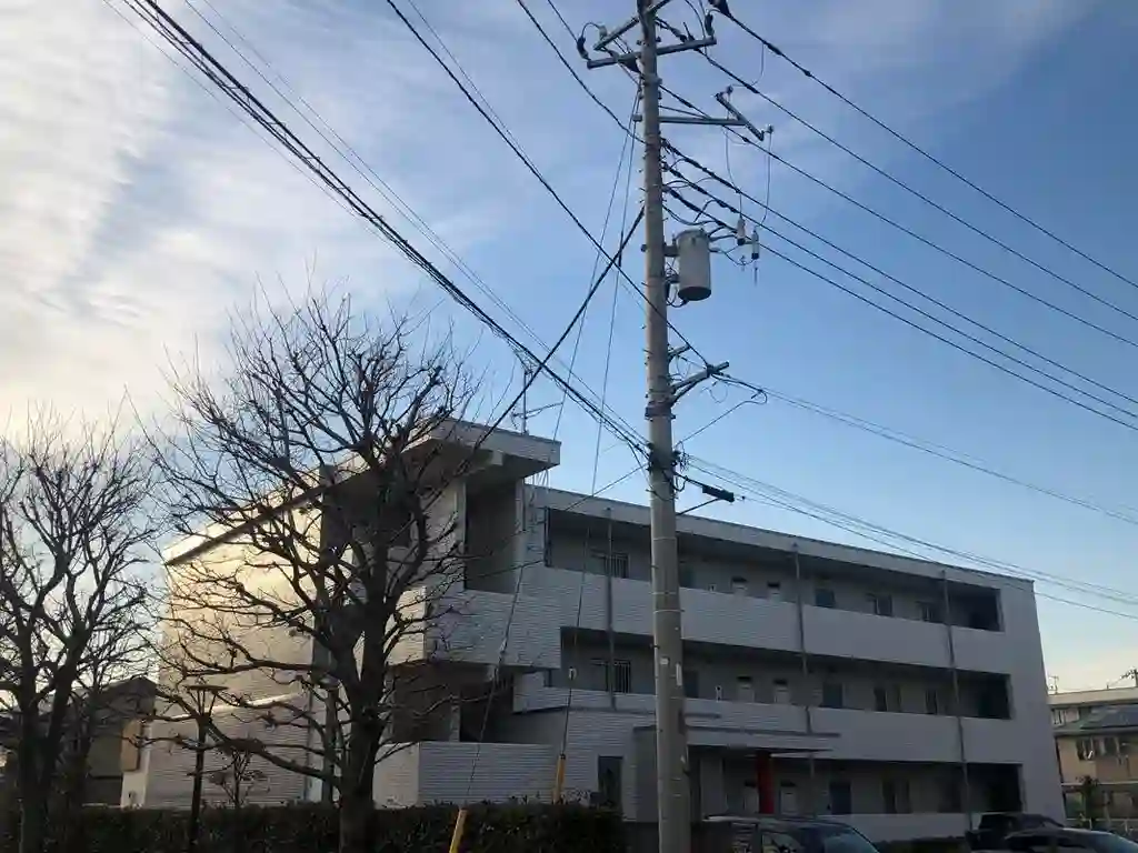 ANIMALE 外観