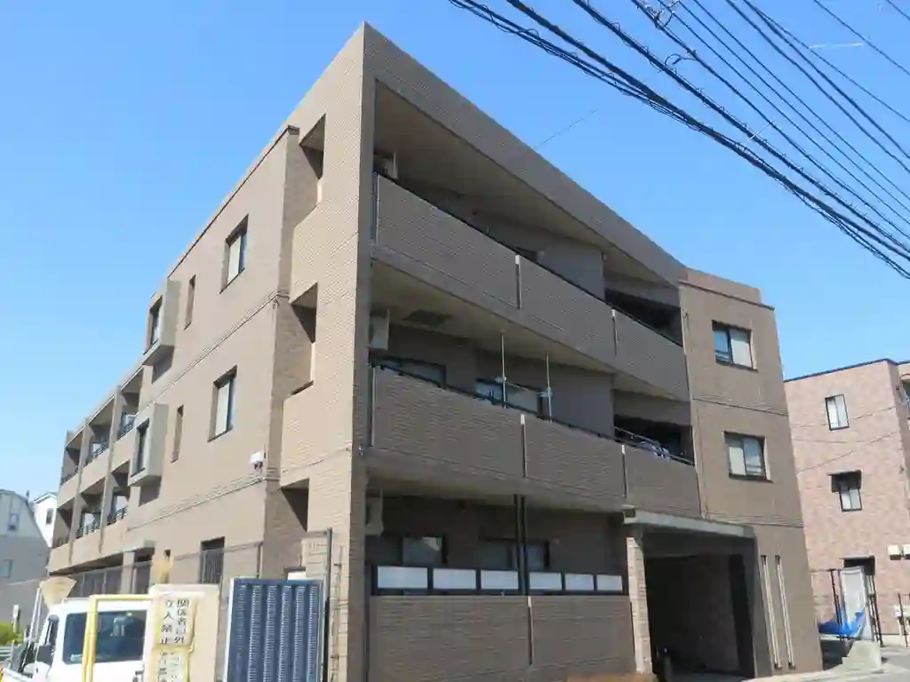 チェリー 外観