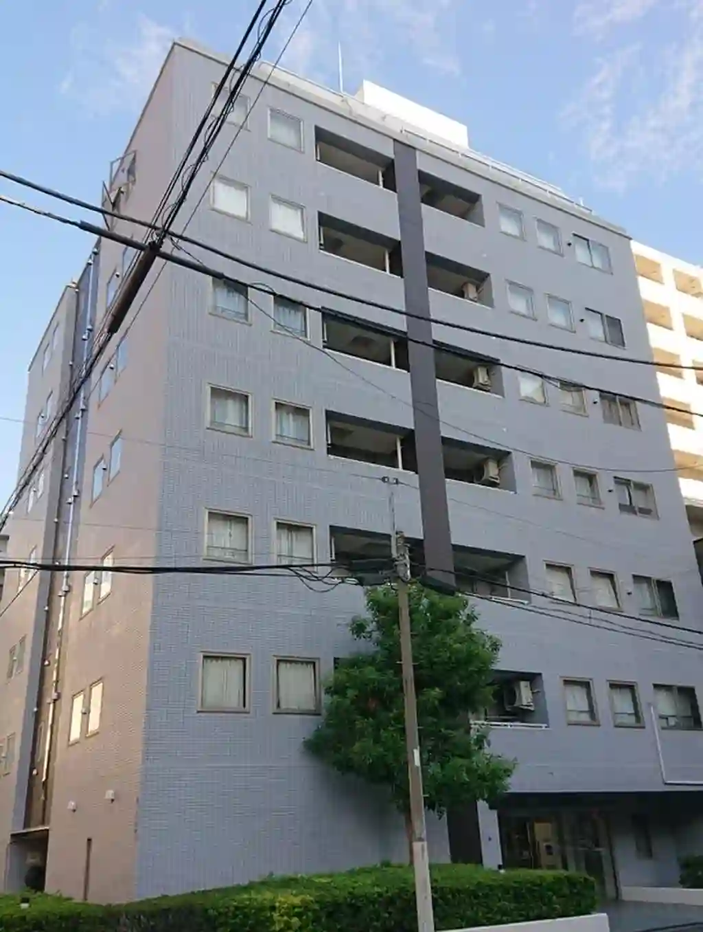 ロナ王子 外観