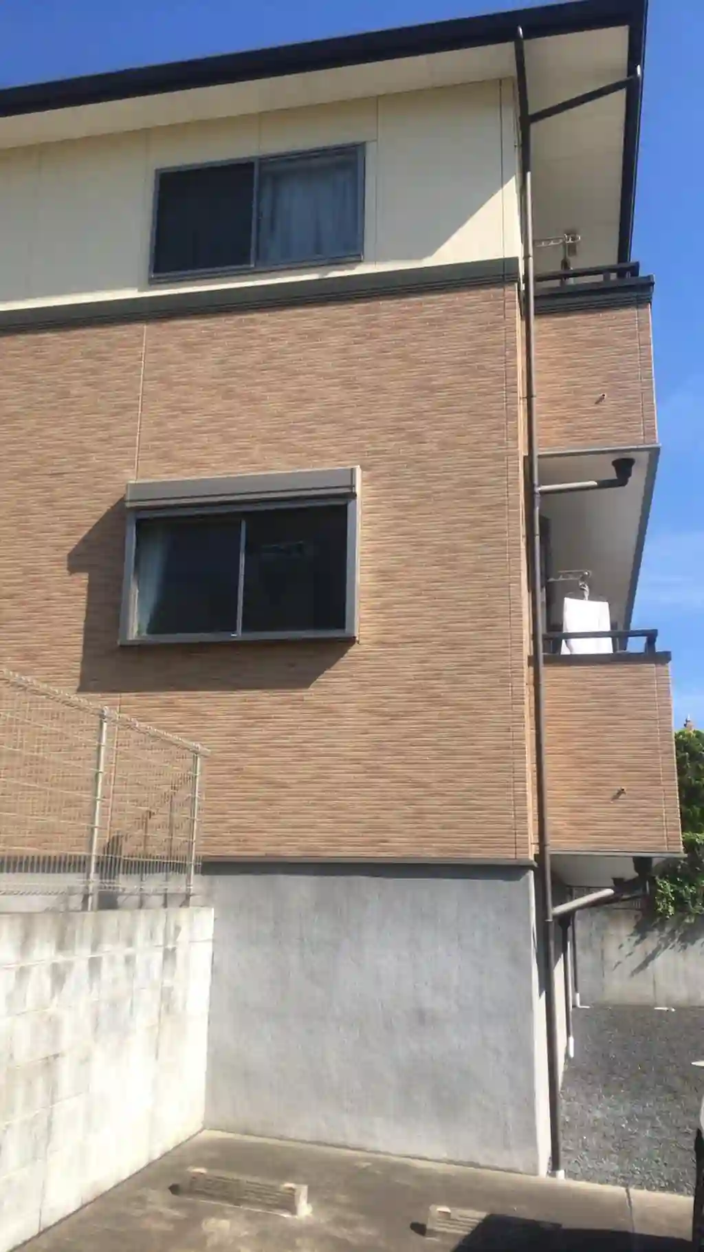ルピナス 外観