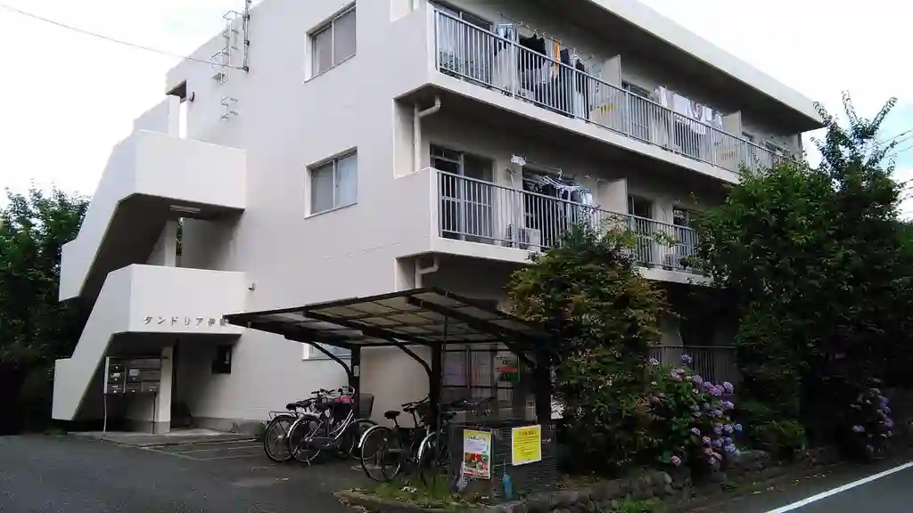 タンドリア伊野 外観