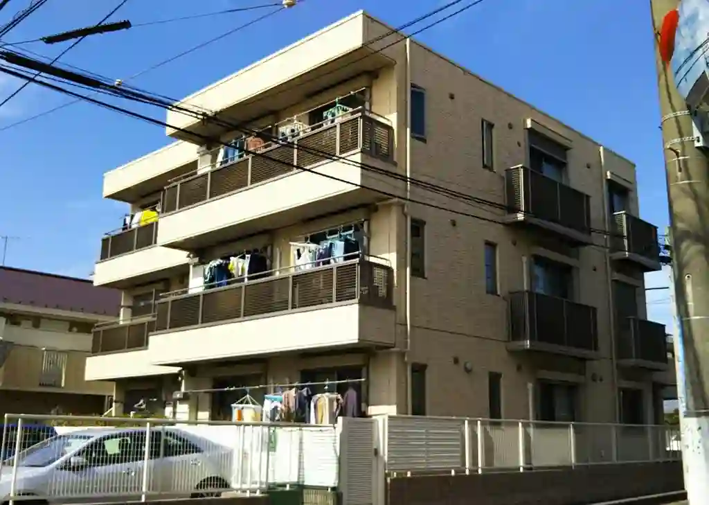 オリーブ 外観