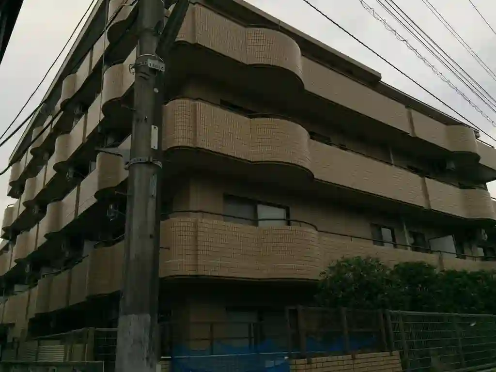 ハイネスタツミ 外観