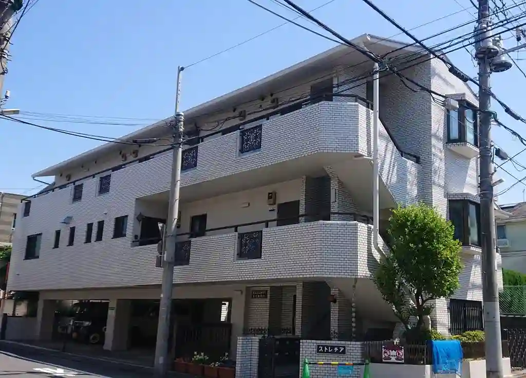 ストレチア 外観