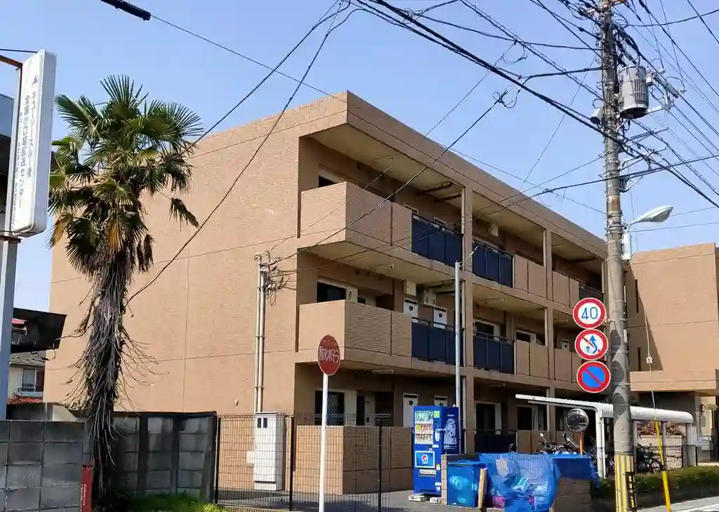 ガーベラ 外観
