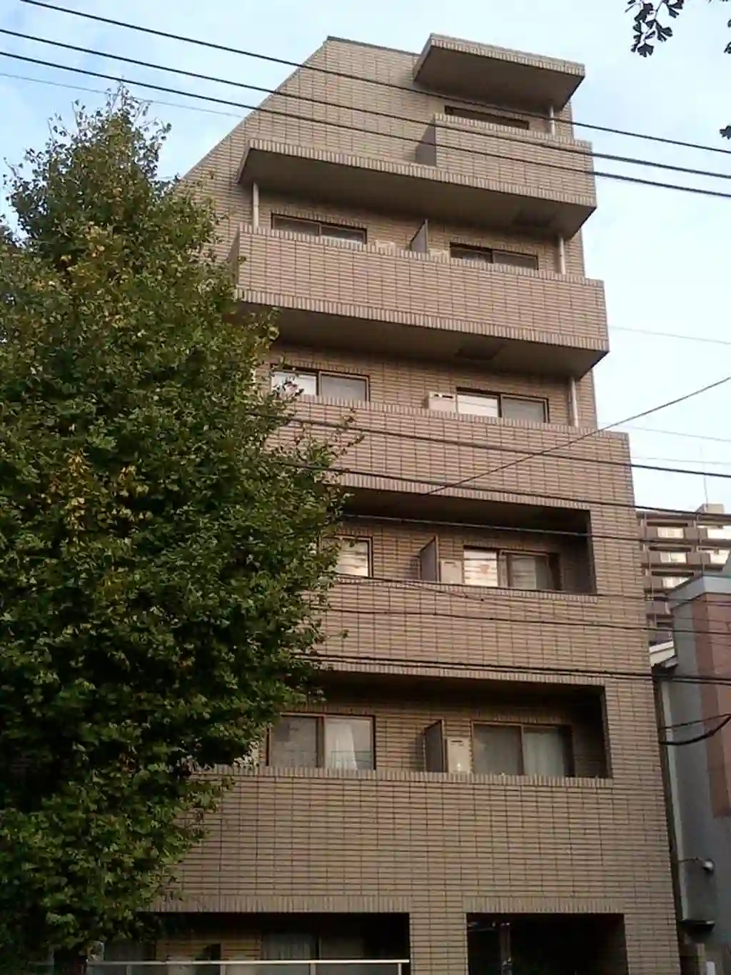 フローラ白山 外観