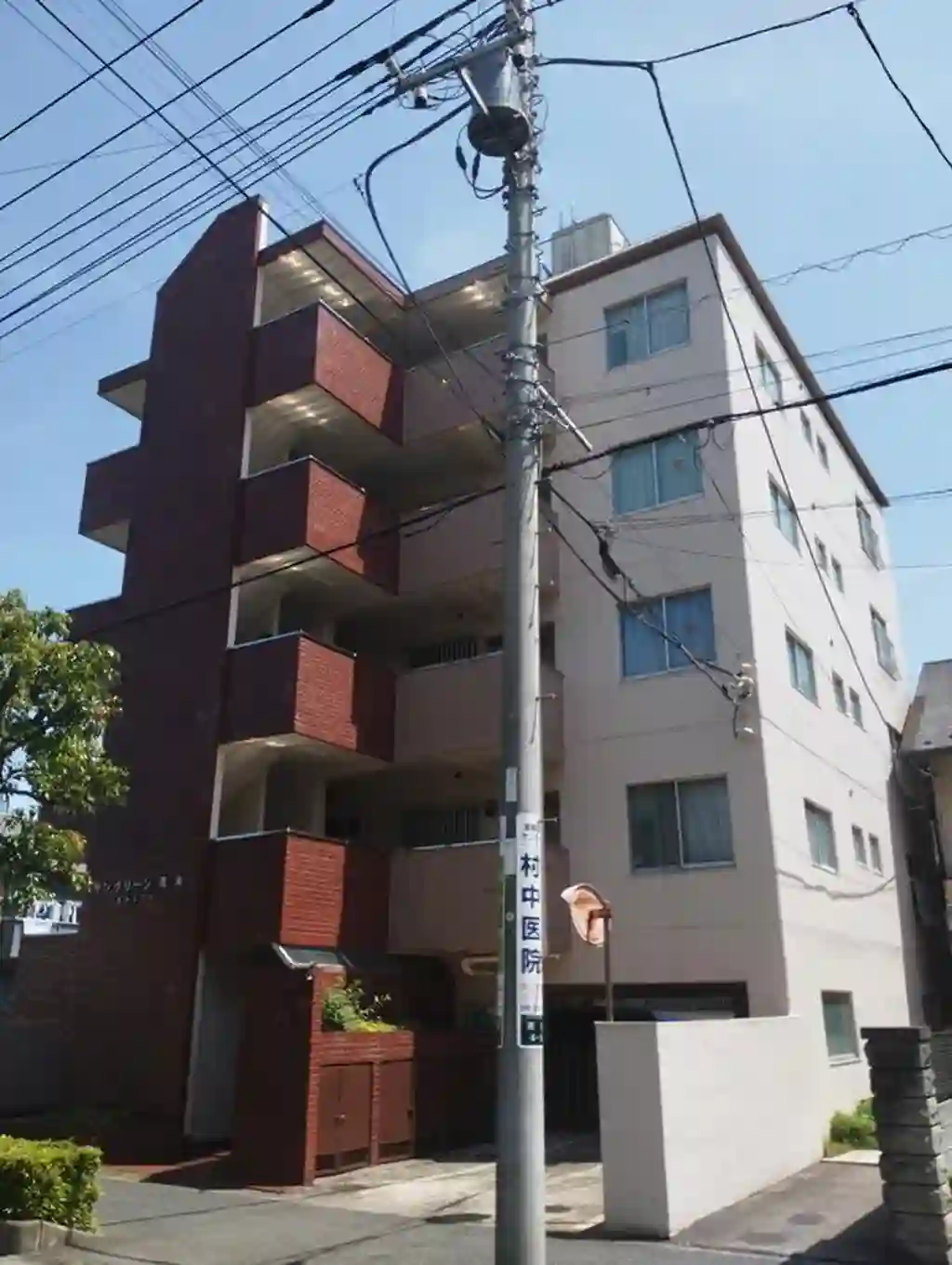 サングリーン青木 外観