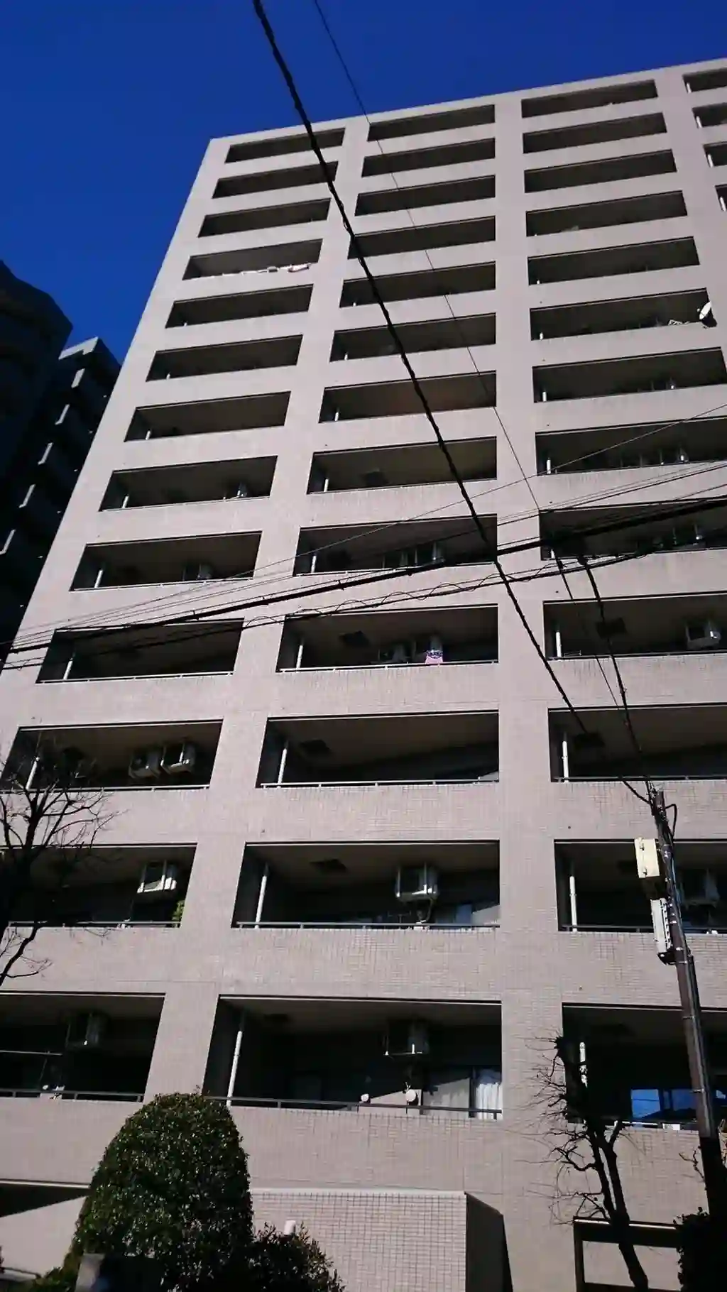 ルーブル板橋区役所前 外観