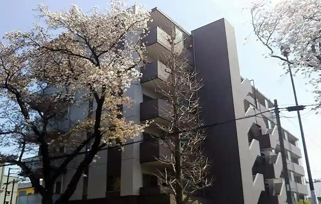 ネクステージ国立V 外観