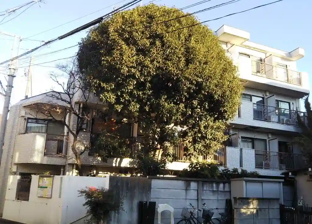 クリスタル笹塚PART1 外観