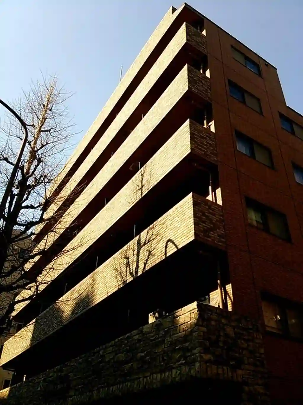 トーシンフェニックス高円寺南 外観