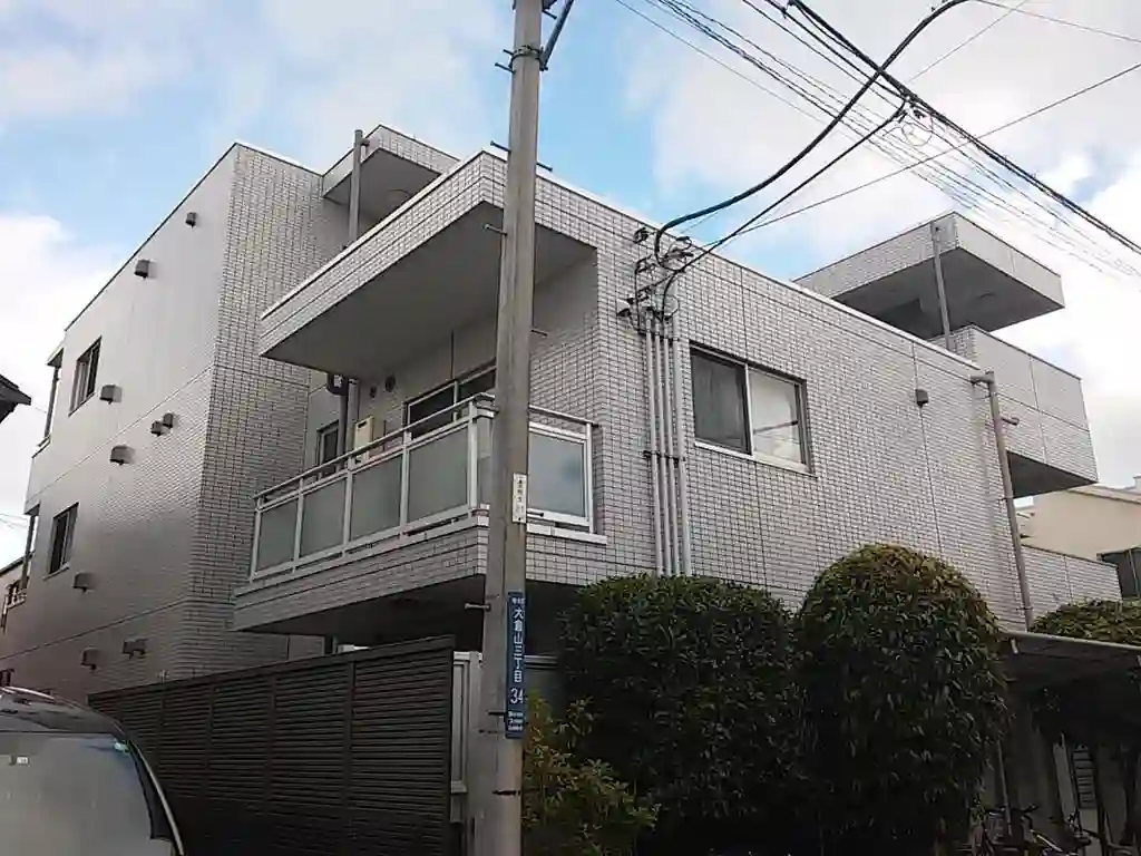メテオライト 外観