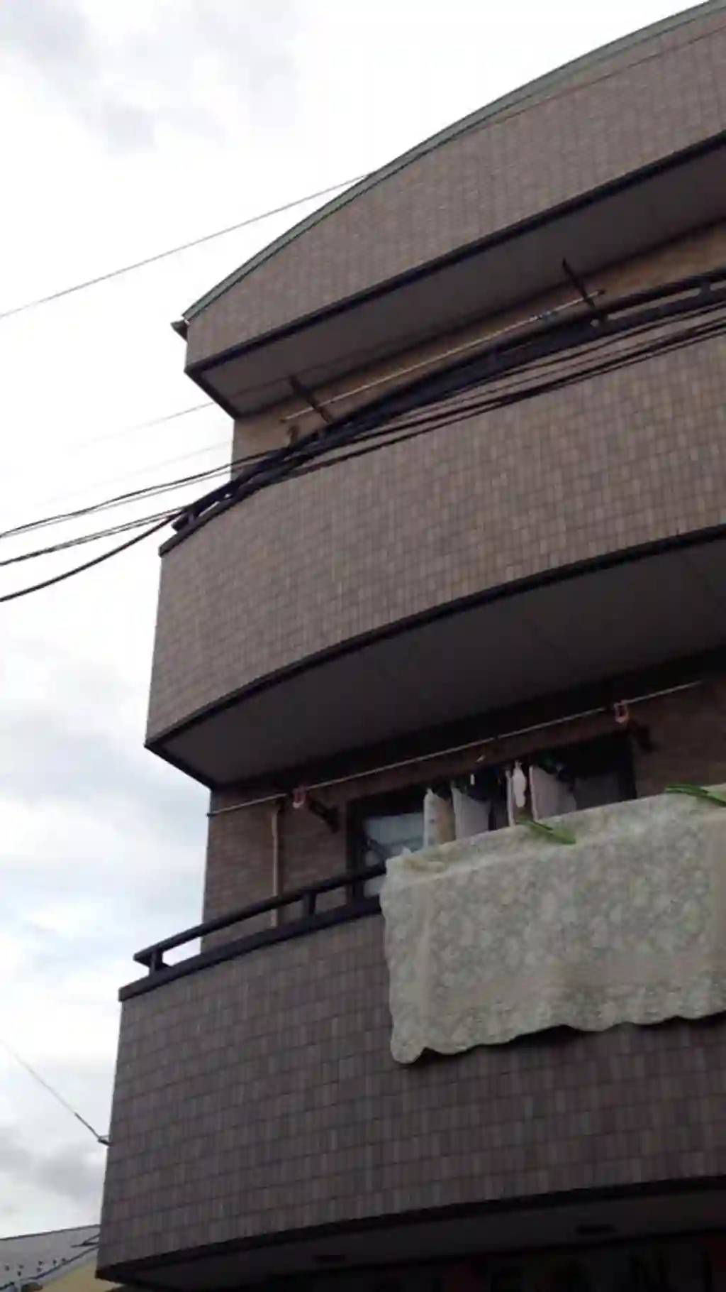 リバーハイム 外観