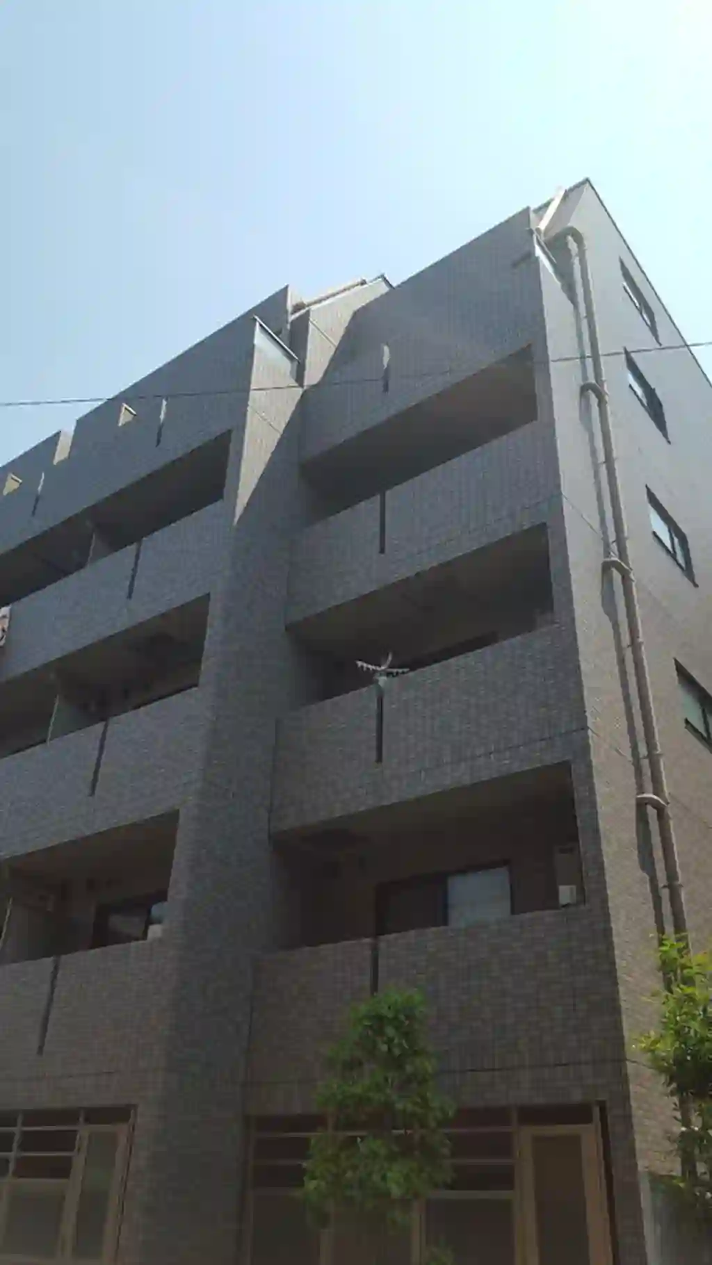 ルーブル武蔵小山 外観