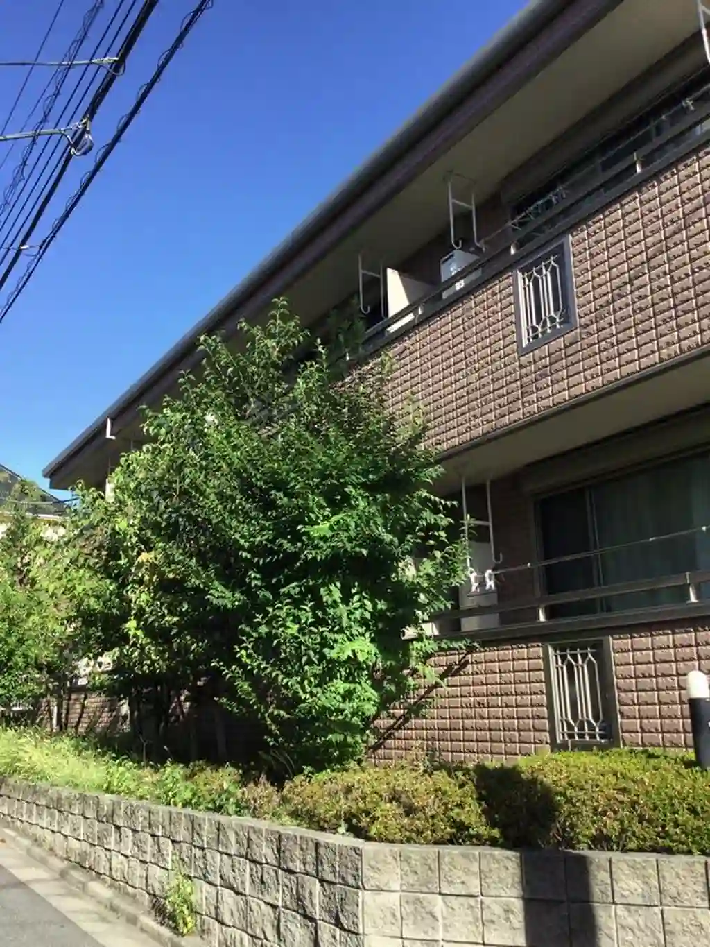 メゾンボヌール 外観