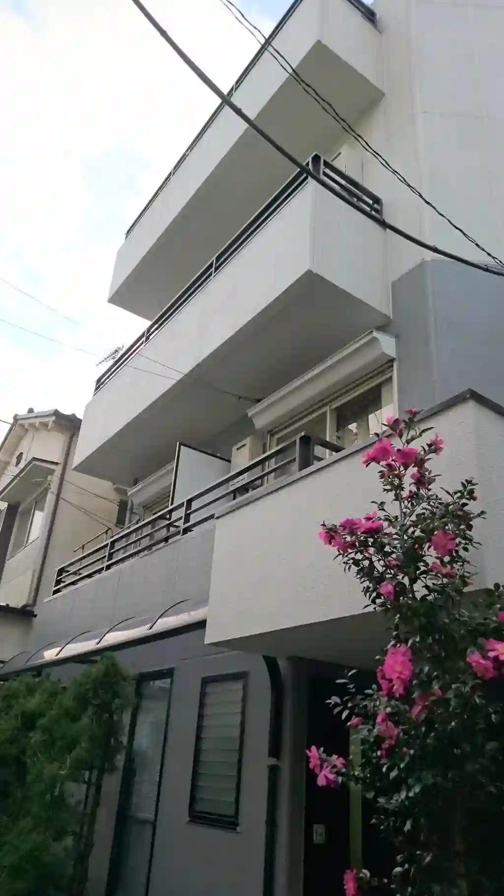 サンロイヤルマイン 外観