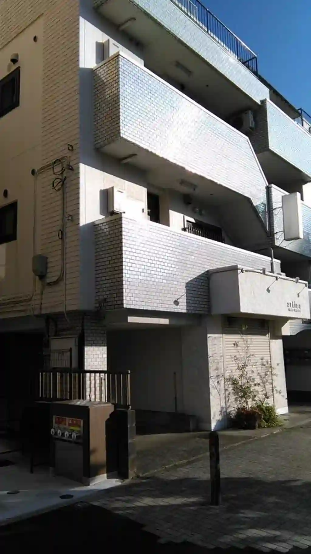 キャピタルオシダ 外観