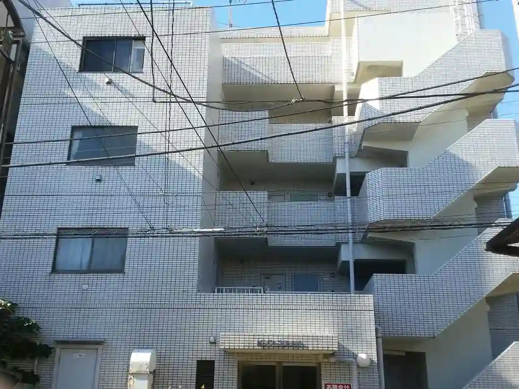 ピソススエナガ 外観