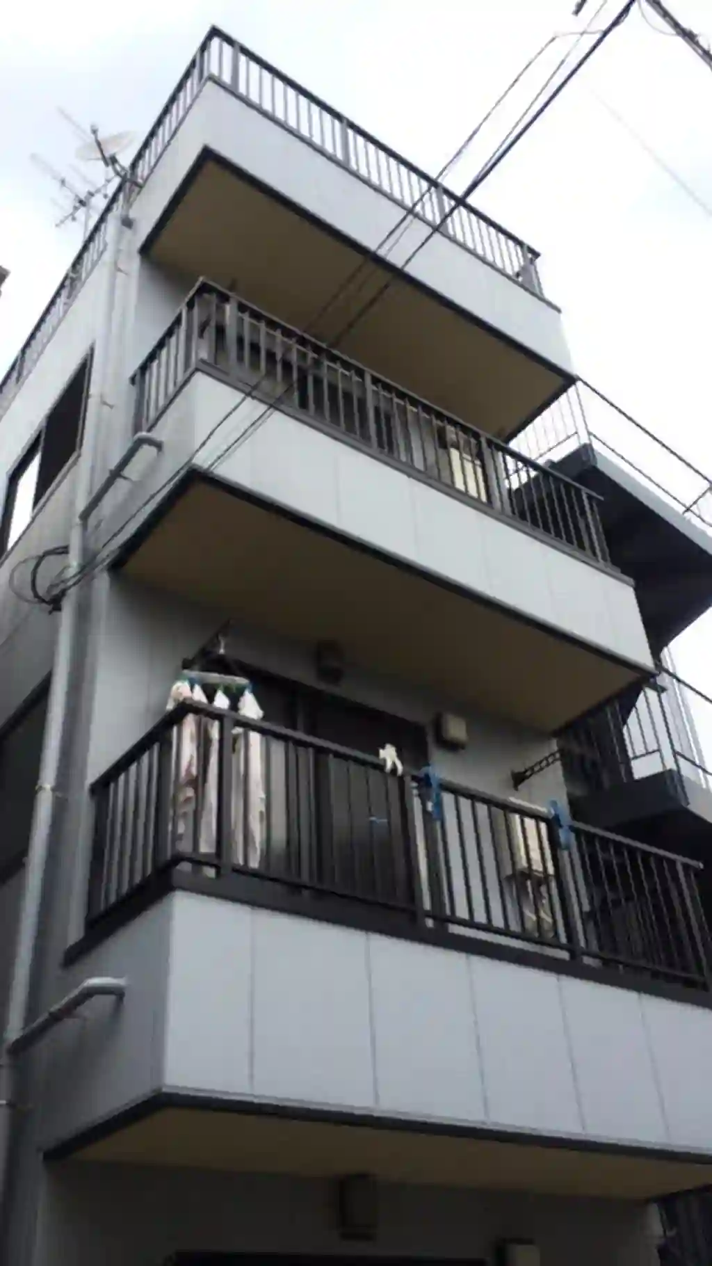 ハイツフナト 外観