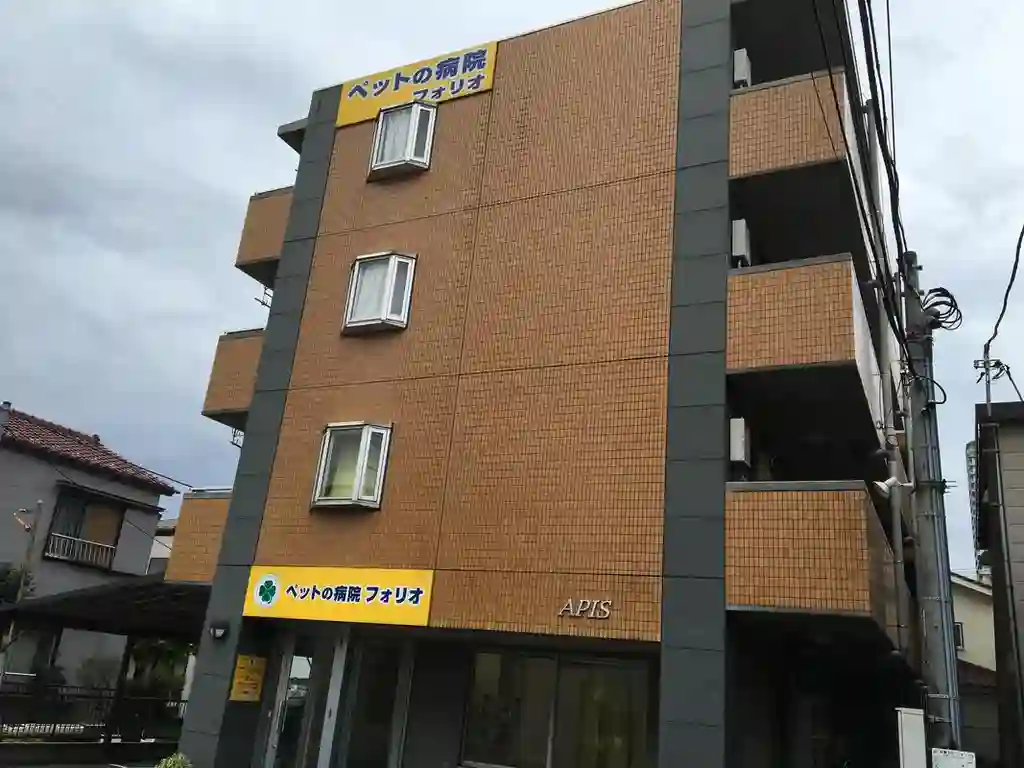 アピス 外観