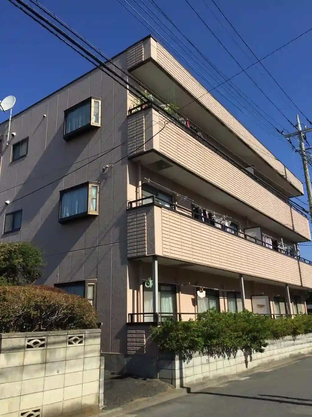 メゾン東大成 外観