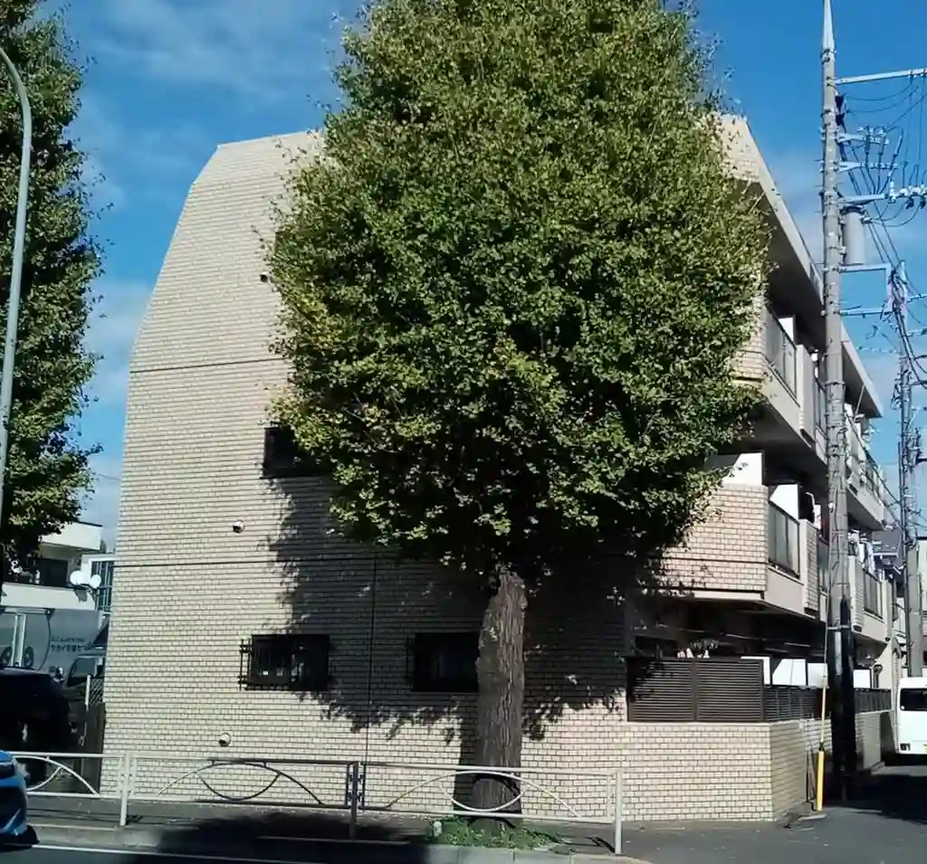 ラフォーレ調布 外観