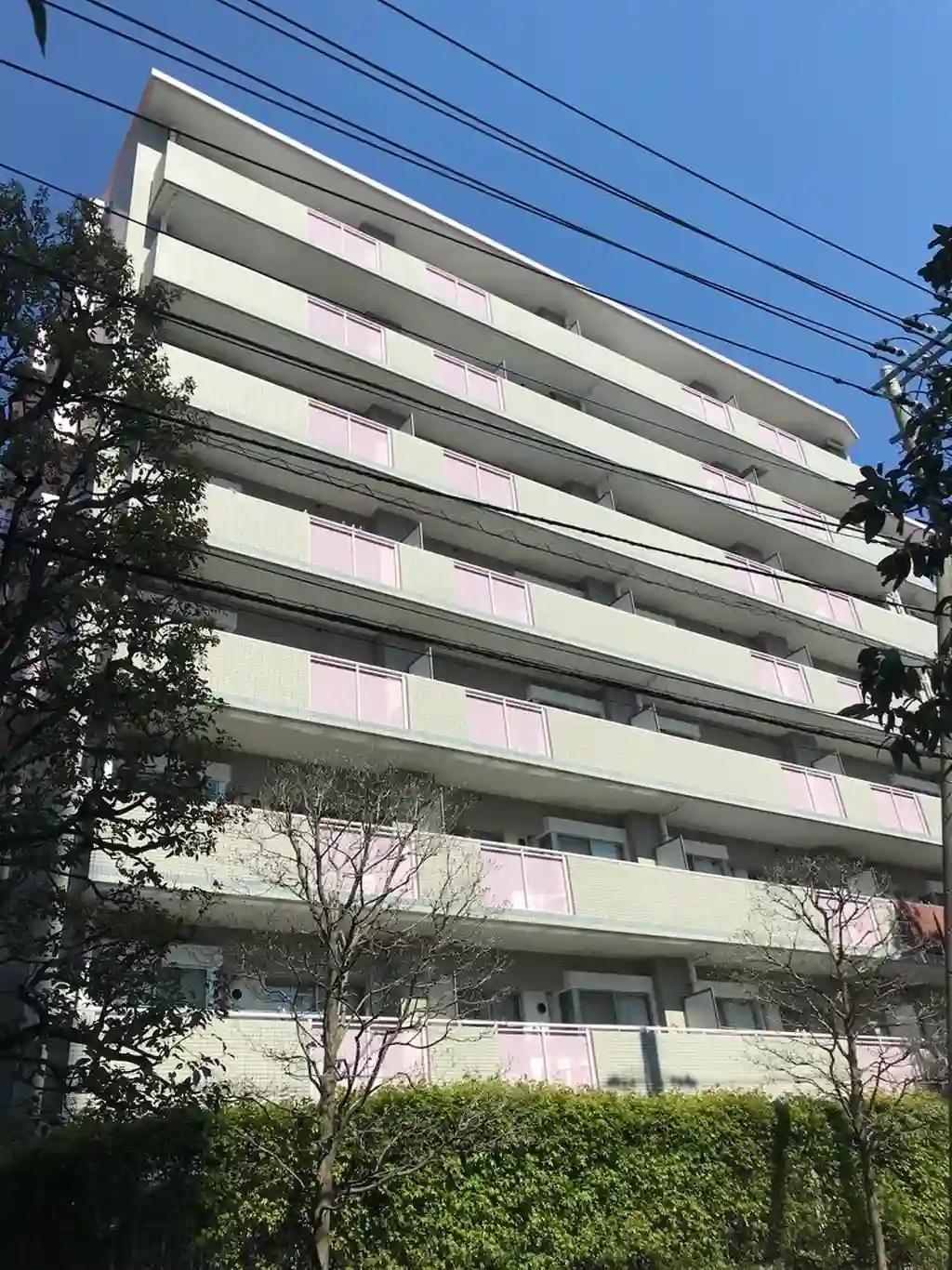 パークサイドハイツタケノヤ 外観