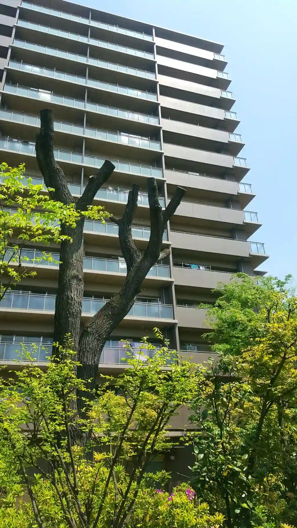 グランドメゾン玉川上水ウエストスクエア 外観