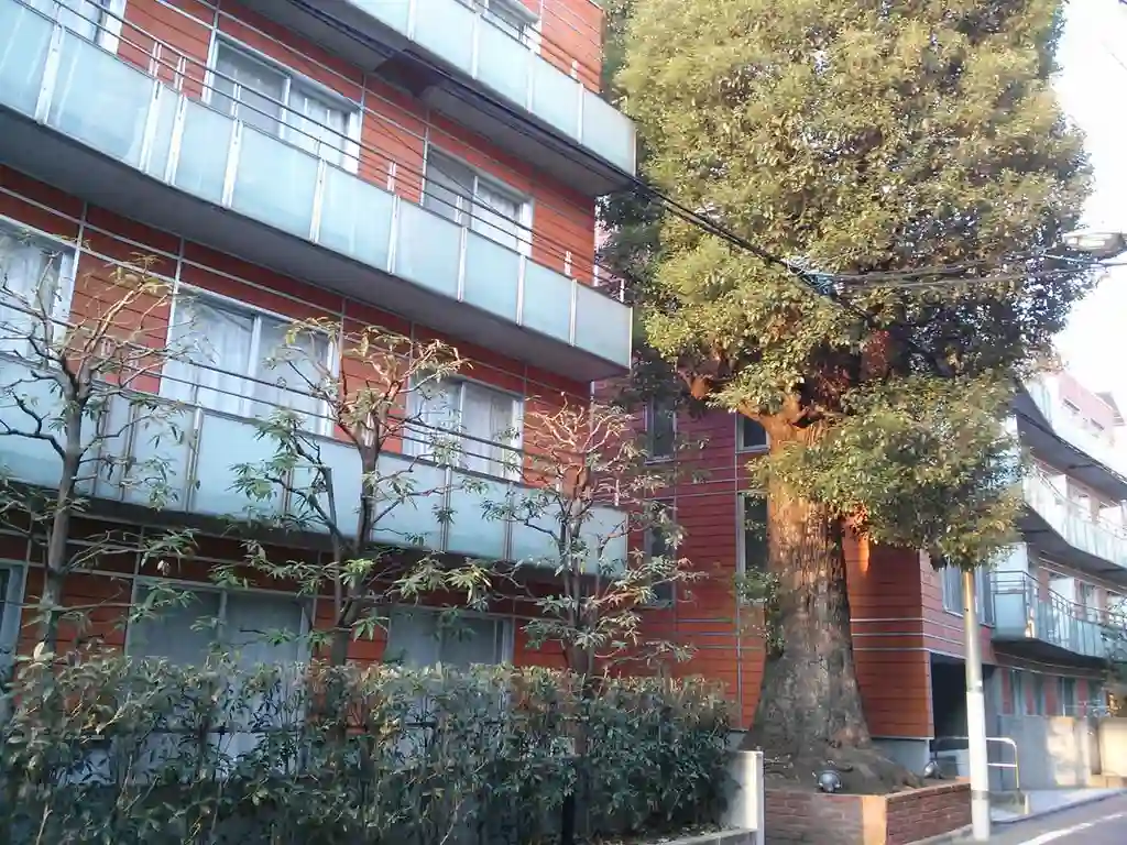 カスタリア西麻布霞町 外観